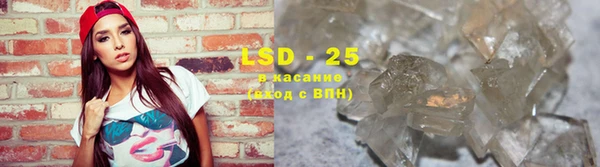 PSILOCYBIN Богданович