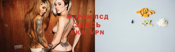 PSILOCYBIN Богданович