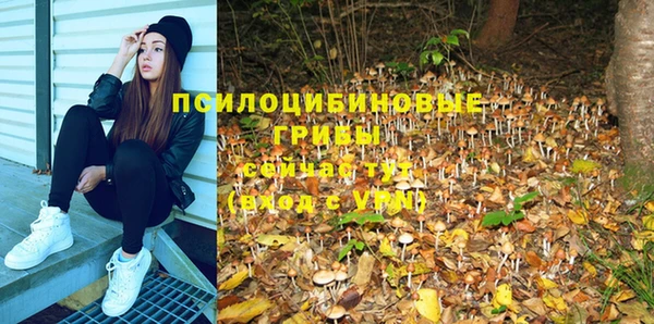PSILOCYBIN Богданович