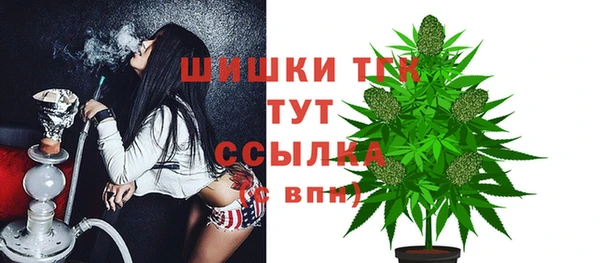 прущая мука Богородицк