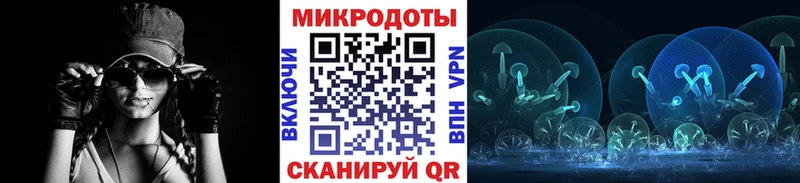 Псилоцибиновые грибы Psilocybine cubensis  Клинцы 