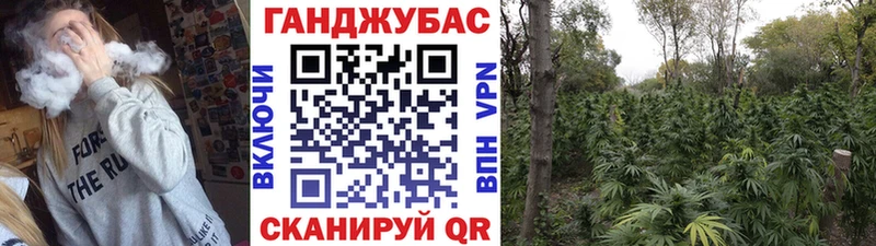 Каннабис OG Kush  купить  цена  Клинцы 